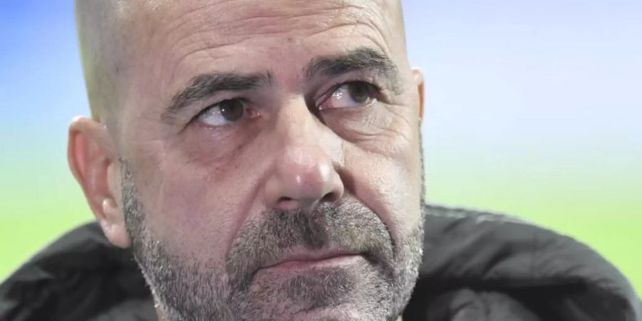 Nimmt sein Team in die Pflicht: Bayer-Coach Peter Bosz. Foto: Bernd Thissen/dpa-pool/dpa