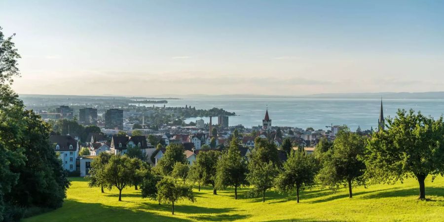 Die junge Zivilschutzorganisation besteht ihre Bewährungsprobe