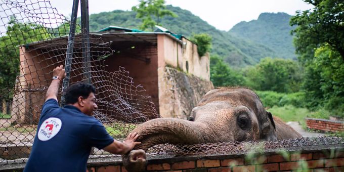 Amir Khalil, Tierarzt der Tierschutzorganisation Vier Pfoten, begrüsst im Zoo Islamabad den Elefanten namens Kaavan. kaava