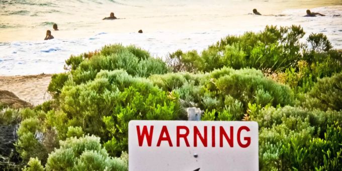 Ein Schild mit der Aufschrift «Warning shark sighting» (dt. Achtung Hai gesichtet). Haiattacke