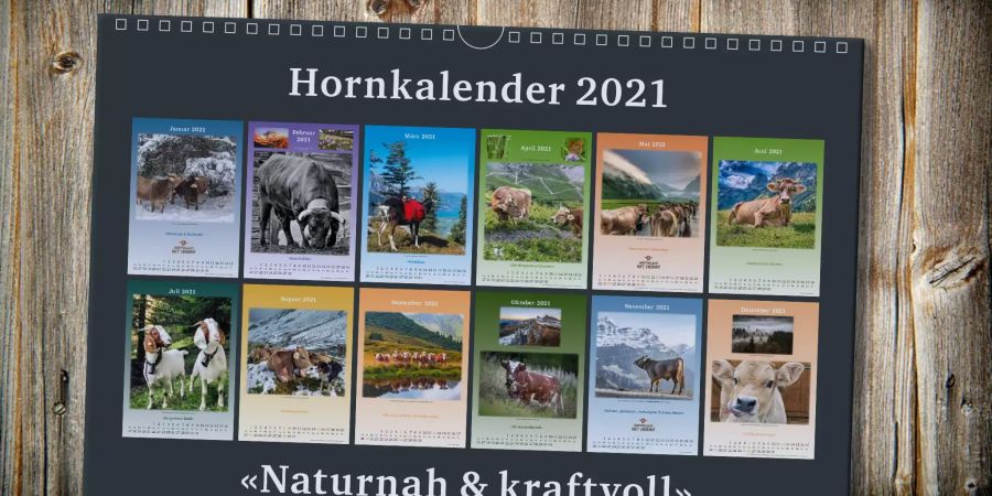 Hornkuh-Initiative Kalender