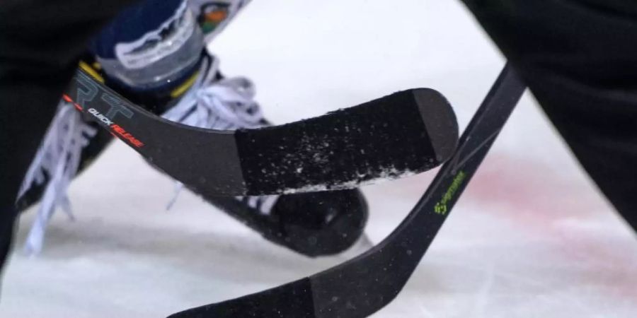 Ein baldiger Start der Deutschen Eishockey Liga rückt immer näher. Foto: Bernd Thissen/dpa