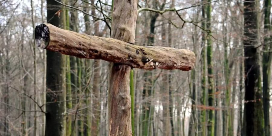 Mancherorts bieten Ruhewälder eine Alternative zu der oft streng reglemtierten Grabkultur auf Friedhöfen. Foto: Carsten Rehder/dpa