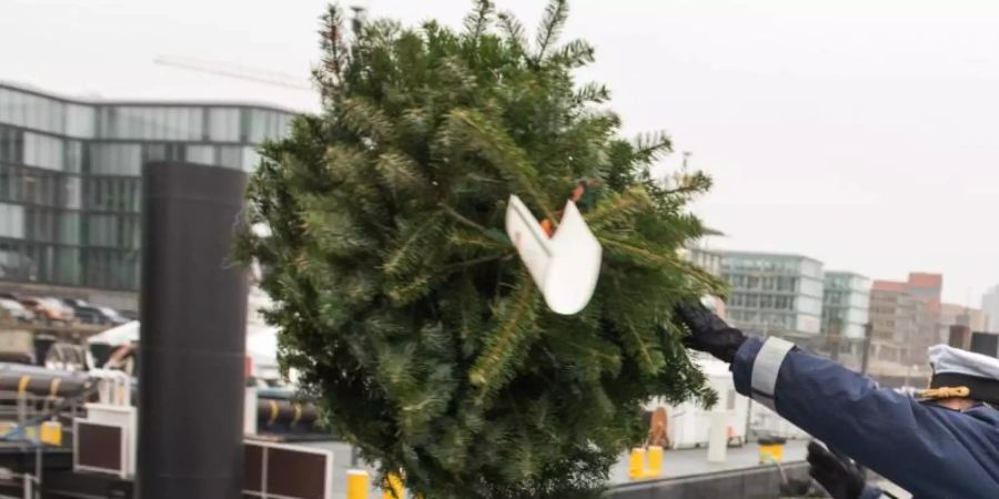 Ein Weihnachtsbaum für ein wenig festliche Stimmung an Bord. Foto: Daniel Bockwoldt/dpa