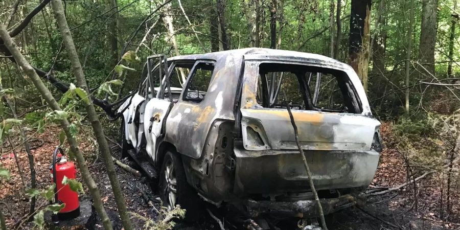 Obwohl die Flammen schnell gelöscht werden konnten, trug die umliegende Natur Schäden davon.