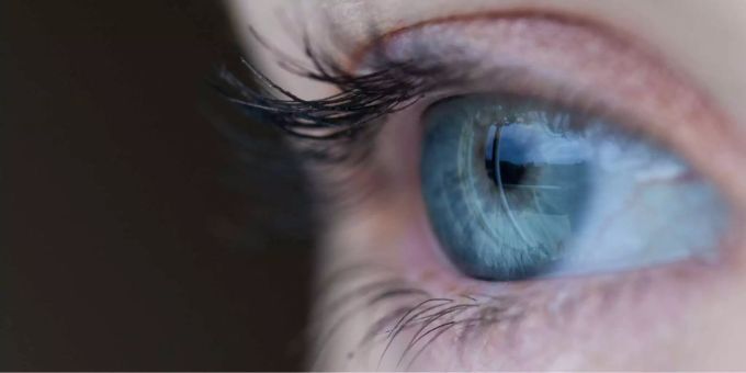 Mark3 verhindert die Entwicklung der Augen. Nun da die Mechanismen der Krankheit besser verstanden würden, könne man sich auf die Suche nach einer Therapie machen, schreibt die Uni Genf. Mark3 verhindert die Entwicklung der Augen. Nun da die Mechanismen der Krankheit besser verstanden würden, könne man sich auf die Suche nach einer Therapie machen, schreibt die Uni Genf.