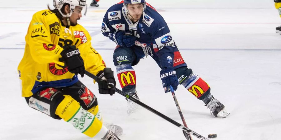 Die ZSC Lions und der SCB (im Bild Chris Baltisbberger und Eric Blum) liefern sich ein packendes Duell.