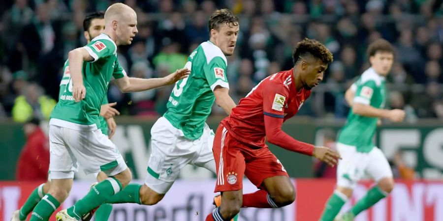 Bayerns Kingsley Coman (2.v.r.) setzt sich gegen die Bremer Max Kruse (M) und Davy Klaassen (l) durch.