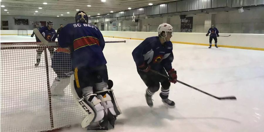 Für einmal darf Rinne hier zuschauen, wie sich Backup Pascal Caminada zwischen den Pfosten schlägt. Und das gegen Weltstar Nico Hischier.