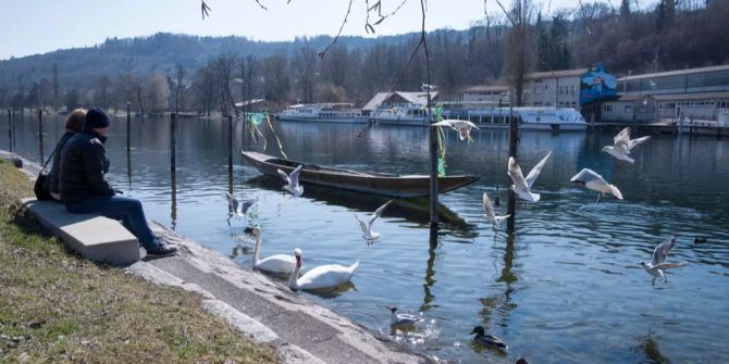 Fussgänger geniessen das sonnig warme Wetter am Rhein und füttern Moewen.