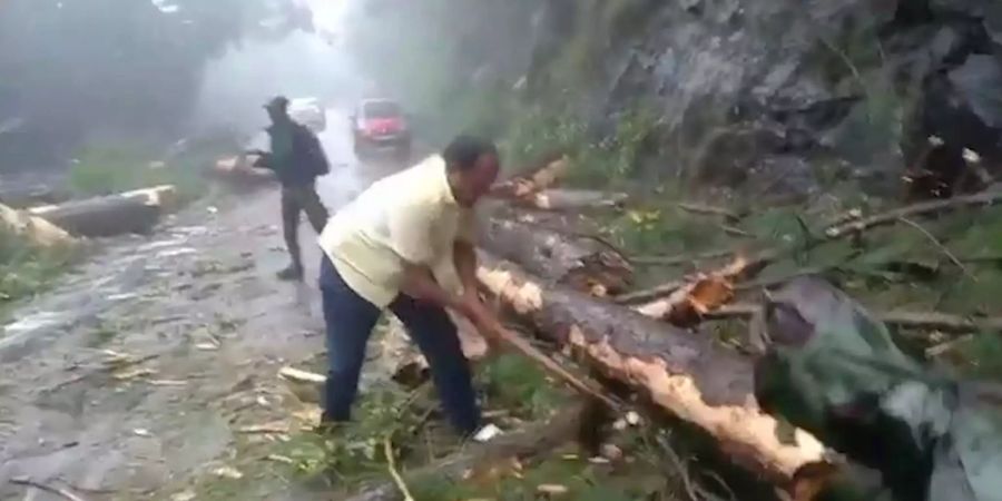 Das Videostandstandbild zeigt einen Mann, der Äste von einem in einem Zyklon umgestürzten Baum abtrennt, um die Strasse räumen zu können.