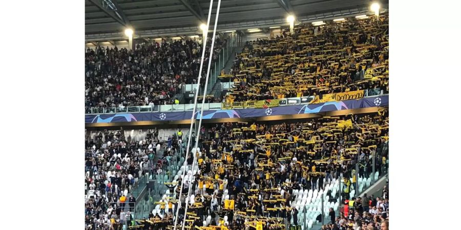 YB-Fans feiern im Stadion vor dem Anpfiff.