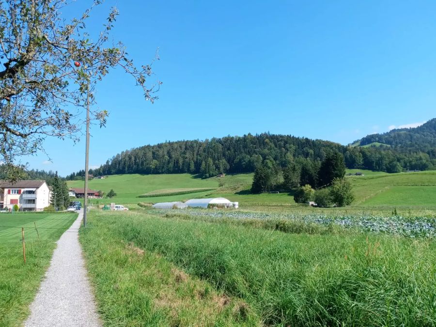 SOLAWI Steffisburg
