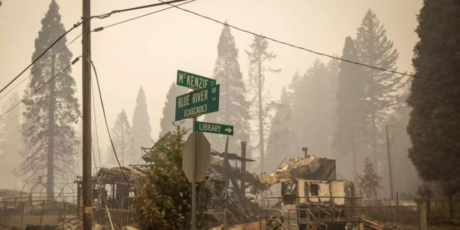 Die verheerenden Waldbrände im Westen der USA haben in den vergangenen Wochen riesige Flächen zerstört. Foto: Andy Nelson/Pool The Register-Guard/Pool/AP/dpa