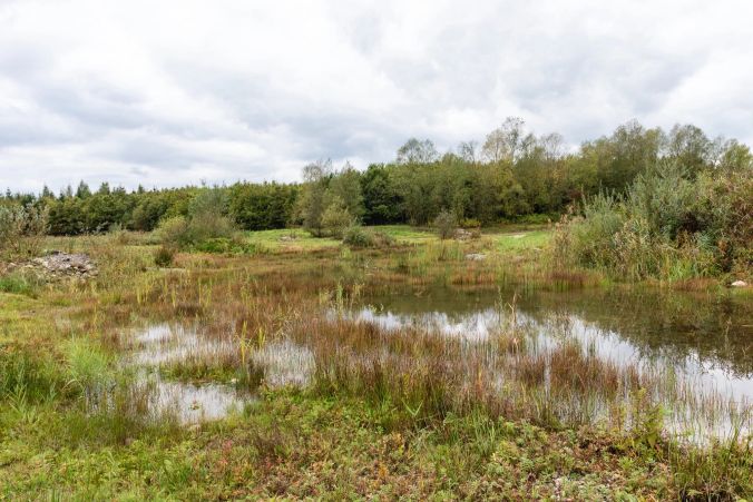 Das Naturreservat wurde mit Hilfe des Bundes vom Kanton aufgewertet.