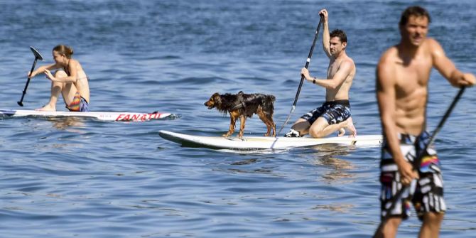 Stand-Up-Paddling