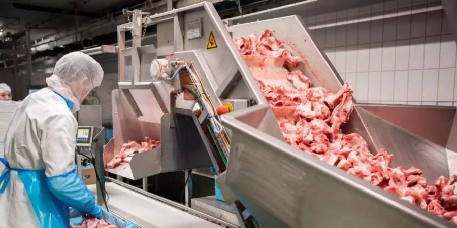 Ab 2021 darf in der Fleischindustrie nicht mehr mit Leiharbeit oder Werksverträgen gearbeitet werden. Foto: Mohssen Assanimoghaddam/dpa/Symbolbild