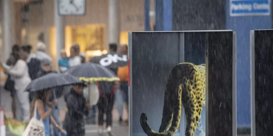 Geregnet hat es im letzten Jahr zur Eröffnung des Filmfestivals Locarno, in diesem Jahr setzt das Coronavirus dem Festival zu: Locarno 2020 wird zu einem guten Teil im Netz stattfinden. (Archivbild)