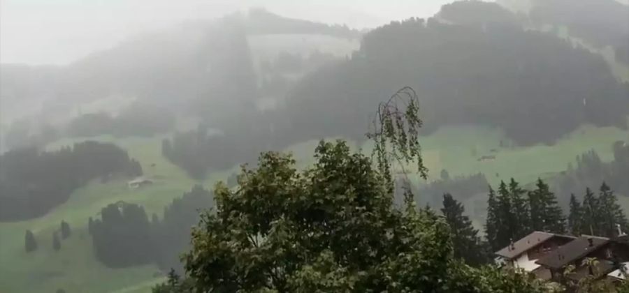 In Adelboden auf rund 1350 M. ü. M. schneite es fast bis ins Dorf.