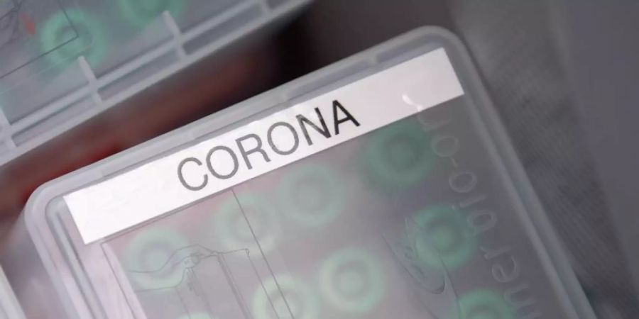 "Corona" steht im Corona-Testcenter am Stuttgarter Flughafen auf einer Dose mit durchgeführten Tests. Foto: Sebastian Gollnow/dpa