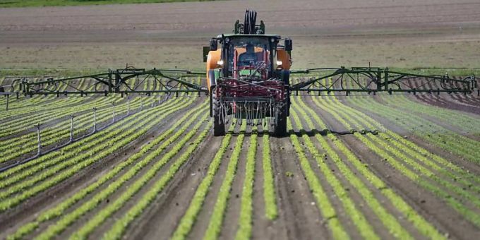 Um 40 Prozent reduziert - Weniger Ackerland für neue Biodiversitätsflächen