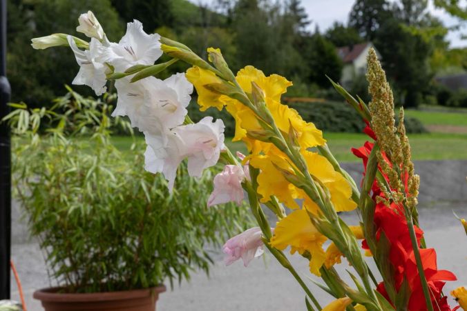 Blumen