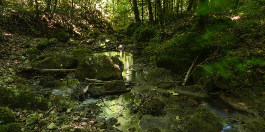 Flussweg in der Teufelsschlucht Hägendorf. - Kanton Solothurn