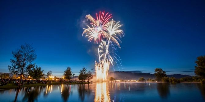 feuerwerk Tierschutz