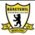 Logo Team ZüriOberland