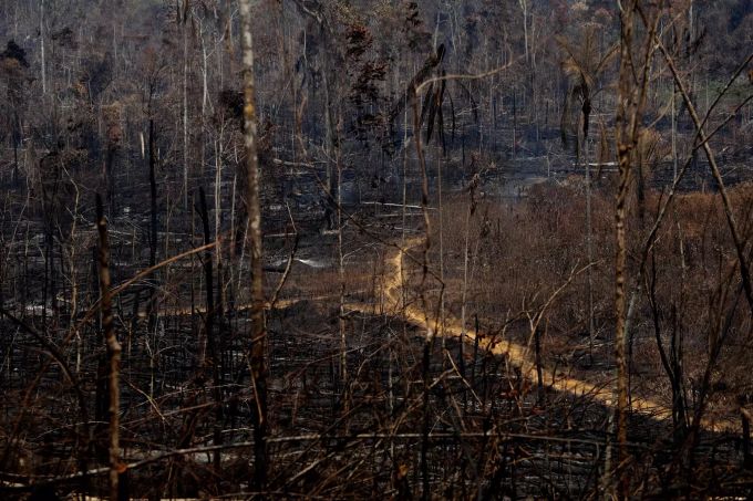 Verkohlte Bäume stehen nach einem Waldbrand in der Region Vila Nova Samuel in der Nähe der Stadt Porto Velho. Brände im Amazonas