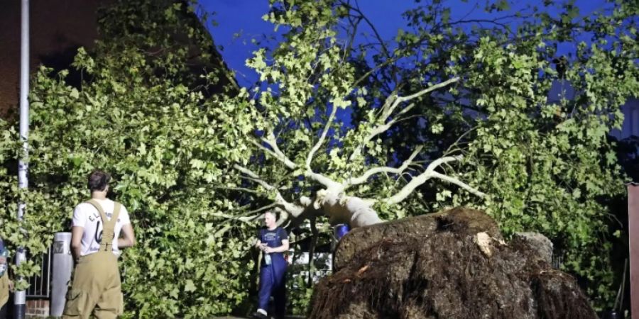 Gewitter lösen Hitzewelle ab