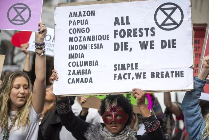Weltweit gehen Menschen wegen den Amazonas-Bränden und Bolsonaro auf die Strasse, wie hier in Südafrika. Bolsonaro