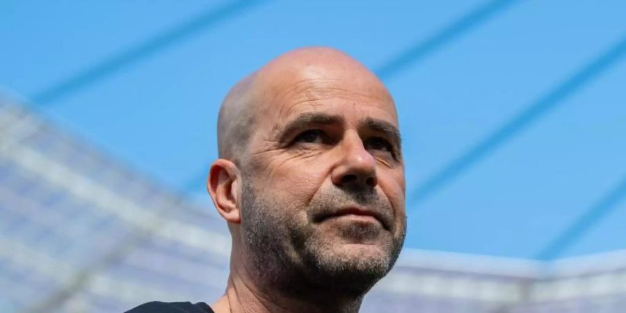 Die Vertragsverlängerung ist angekündigt aber nicht terminiert: Leverkusens Trainer Peter Bosz. Foto: Guido Kirchner