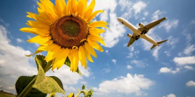 Wegen «Flugscham» - CO2-Kompensation boomt in der Schweiz
