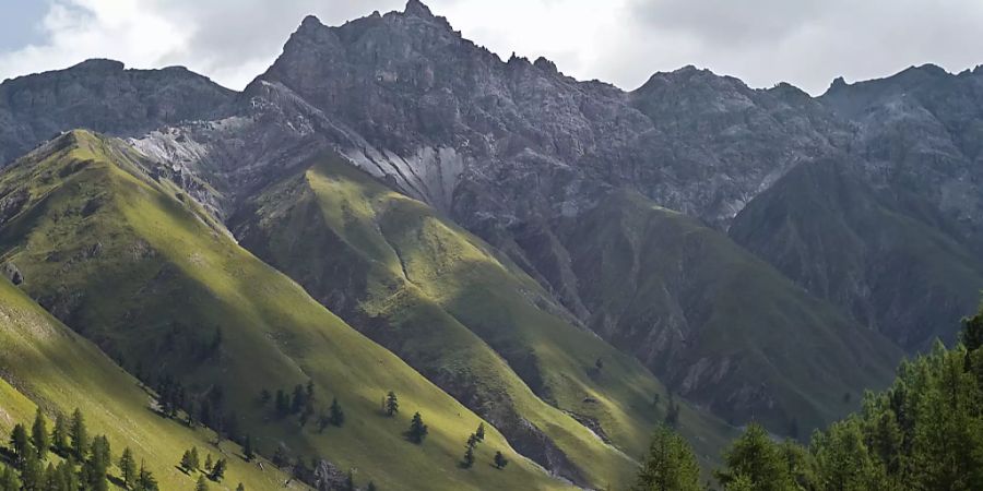 Im Schweizer Nationalpark untersuchen Forschende mit Künstlicher Intelligenz das Verhalten von Wildtieren. (Die Val Trupchun, Archivaufnahme)