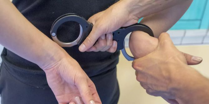 Fahrzeugdieb konnte verhaftet werden.