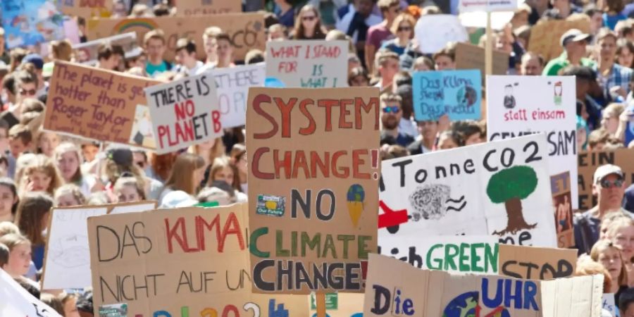 Eine Klimademo von Fridays for Future