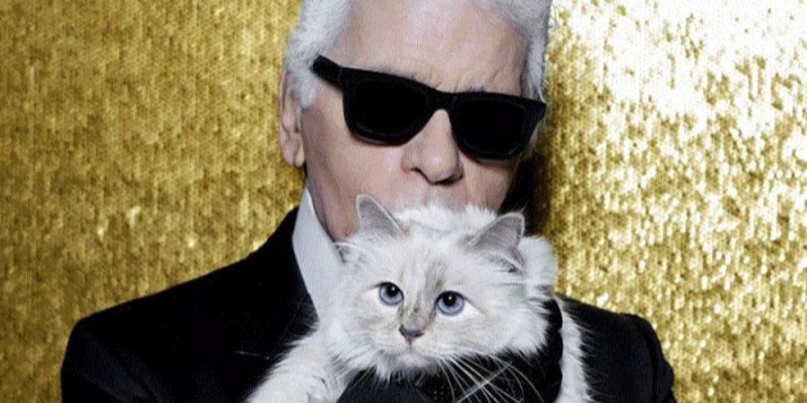 Katze Choupette karl lagerfeld