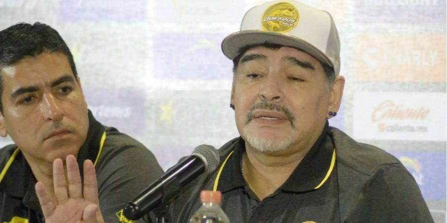 Diego Maradona redet bei einer Pressekonferenz seines neuen Arbeitgebers Dorados de Sinaloa.