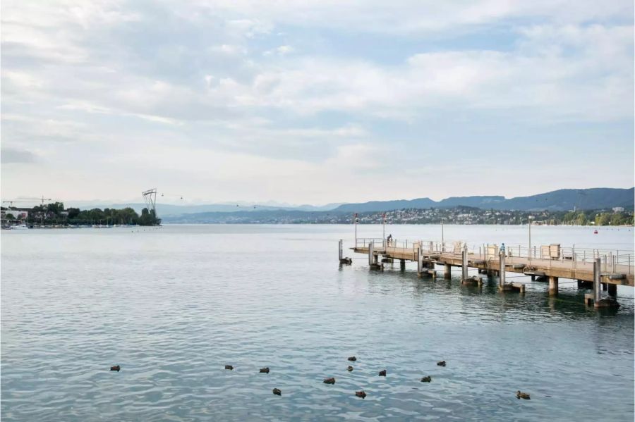 Sicht vom Bürkliplatz auf die ZüriBahn über den Zürichsee.