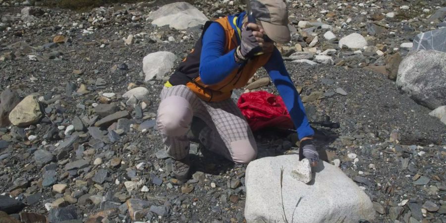 Beim Probensammeln im Himalaya. © Dr. Barbara Müller