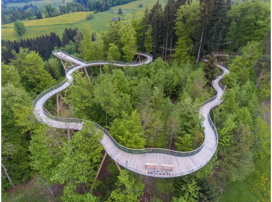 Auf dem Pfad bieten sich verschiedene Sitzgelegenheiten und Aussichtsplattformen mit bis zu 50 Meter über dem Boden.