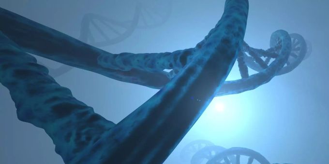 Das Erbgut zweier Menschen ist zwar sehr ähnlich, aber nicht identisch. Doppelhelix