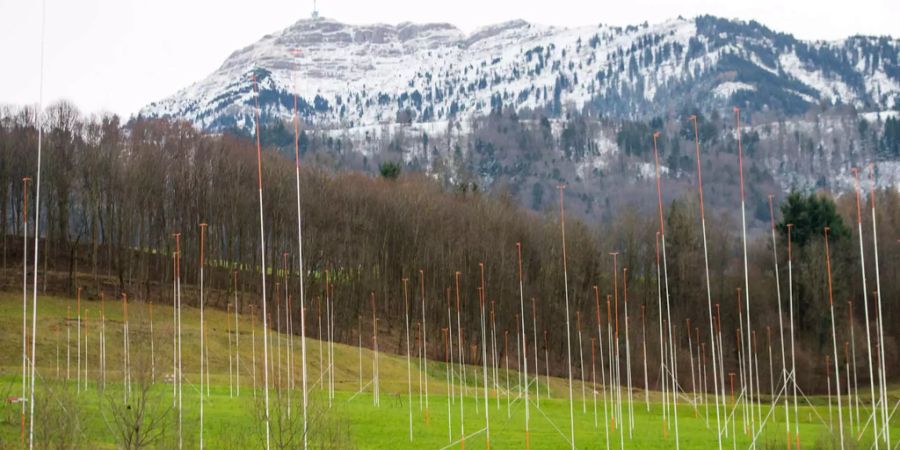 Baugerüste für eine grosse Wohnüberbauung stehen auf einer Wiese.