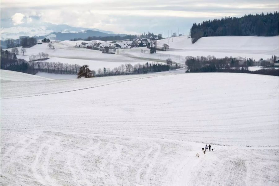 Spaziergänger laufe auf den Gurten in Bern über eine verschneite Wiese