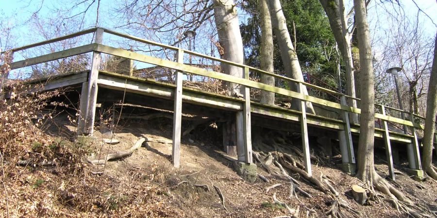 Der Holzsteg beim Eigerweg wird saniert - zvg