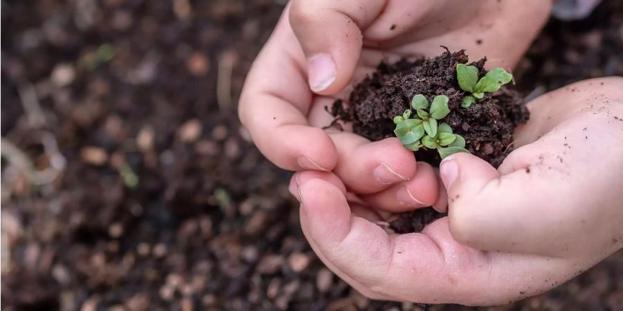 «Energiewende, ökologische Landwirtschaft und das zunehmende Bewusstsein für nachhaltige Produktion muss auf die politische Agenda.»