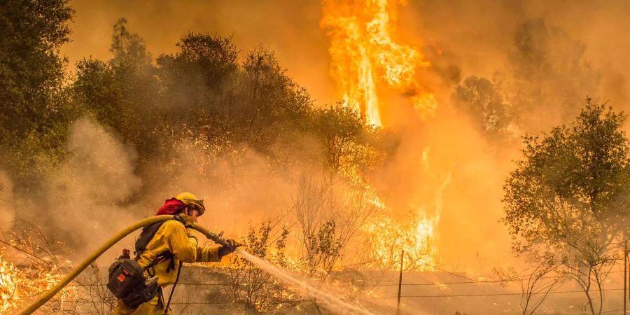 Ein Feuerwehrmann kämpft in Kalifornien gegen die Flammen.