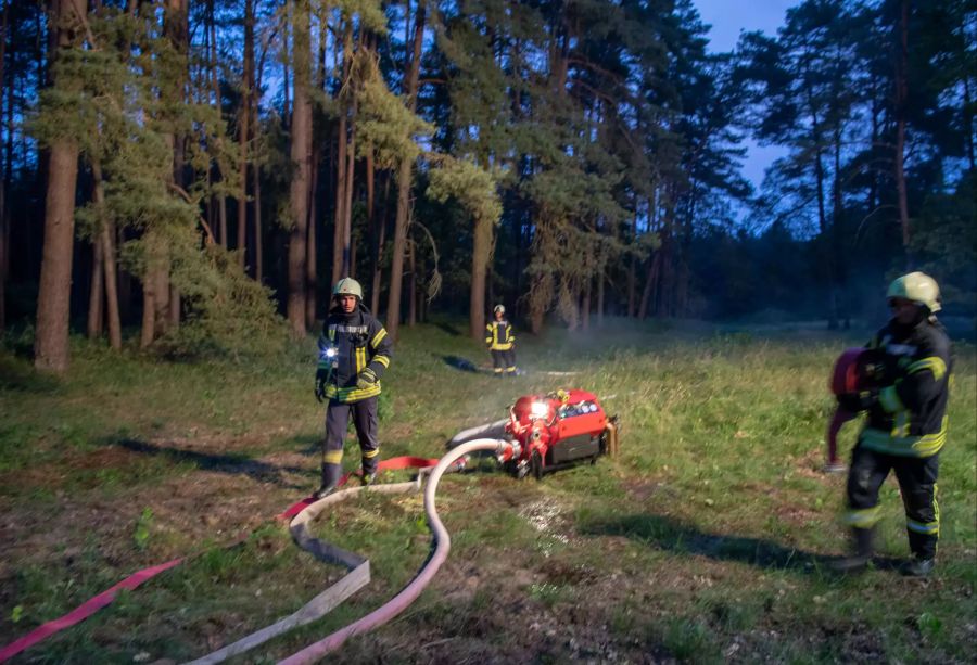 Waldbrand bei Lübtheen