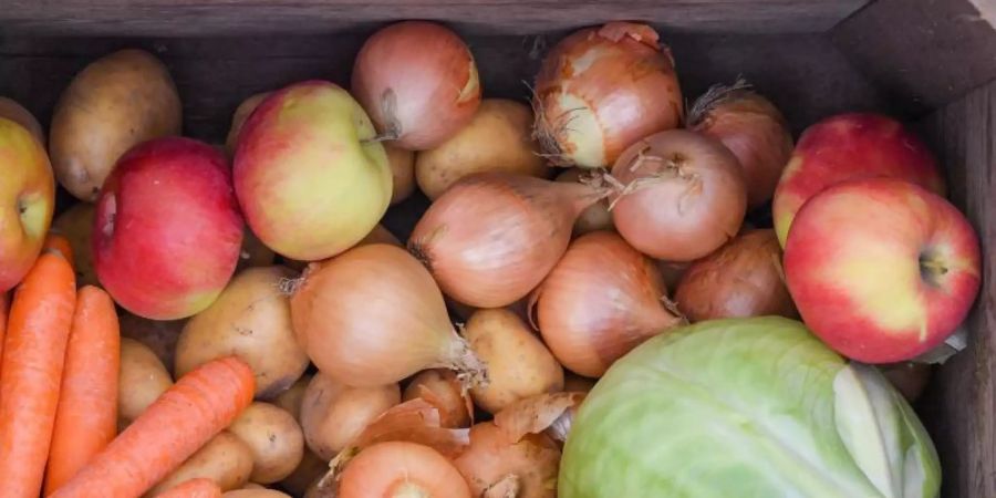 Der Nährstoffbedarf von Kindern und Jugendlichen kann durch eine ausgewogene pflanzenbetonte Ernährung überwiegend gedeckt werden. Jedoch ist der Bedarf bei Heranwachsenden grösser als bei Erwachsenen. Foto: Patrick Pleul/zb/dpa